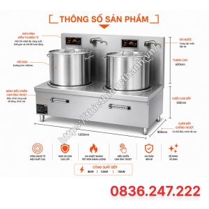 bếp từ công nghiệp đôi kính phẳng